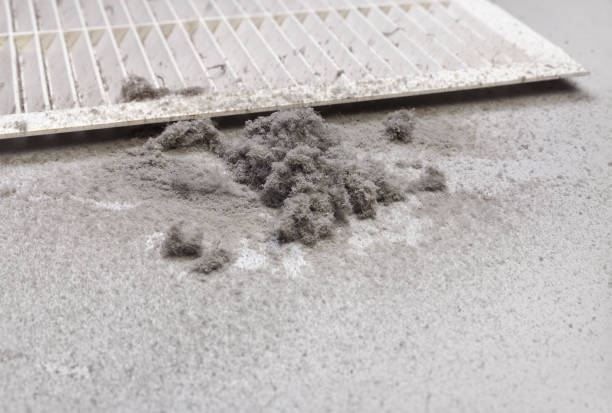 Best HVAC Duct Inspection Services  in Marshallton, PA